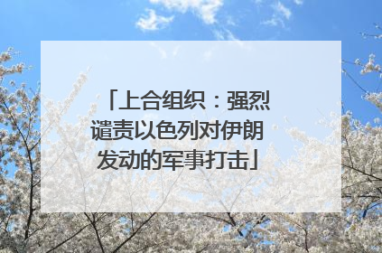 上合组织：强烈谴责以色列对伊朗发动的军事打击