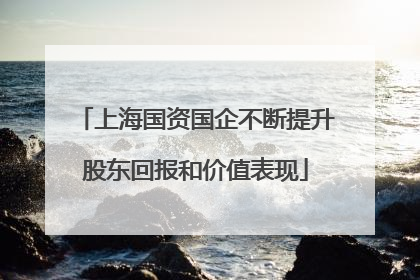 上海国资国企不断提升股东回报和价值表现