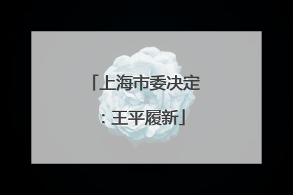 上海市委决定：王平履新
