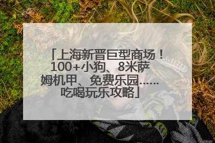 上海新晋巨型商场！100+小狗、8米萨姆机甲、免费乐园……吃喝玩乐攻略