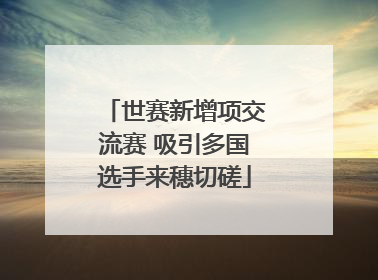 世赛新增项交流赛 吸引多国选手来穗切磋