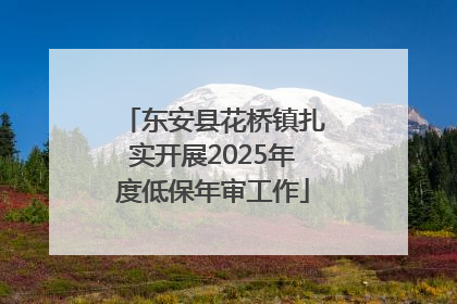 东安县花桥镇扎实开展2025年度低保年审工作