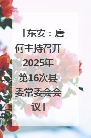 东安：唐何主持召开2025年第16次县委常委会会议
