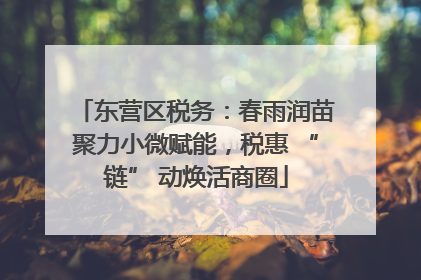 东营区税务：春雨润苗聚力小微赋能，税惠 “链” 动焕活商圈