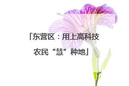 东营区：用上高科技 农民“慧”种地