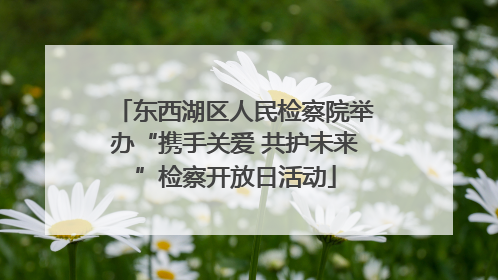 东西湖区人民检察院举办“携手关爱 共护未来”检察开放日活动