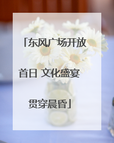 东风广场开放首日 文化盛宴贯穿晨昏