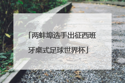 两蚌埠选手出征西班牙桌式足球世界杯