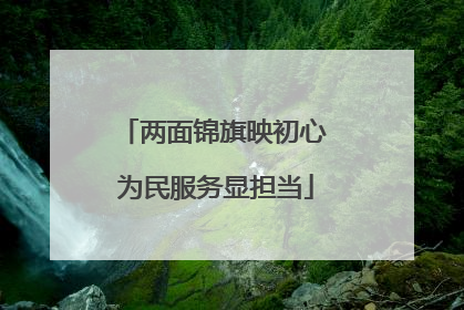 两面锦旗映初心 为民服务显担当