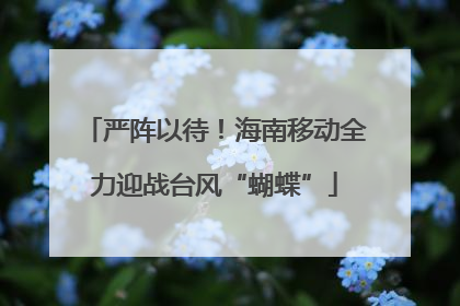 严阵以待！海南移动全力迎战台风“蝴蝶”