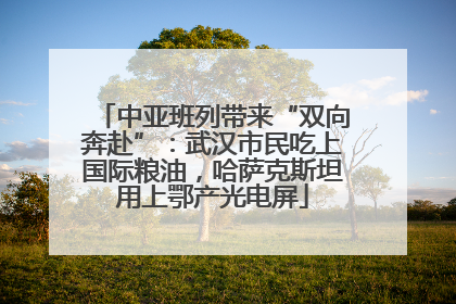 中亚班列带来“双向奔赴”：武汉市民吃上国际粮油，哈萨克斯坦用上鄂产光电屏