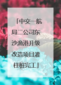 中交一航局二公司东沙渔港升级改造项目灌柱桩完工