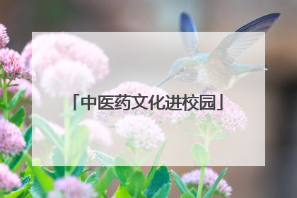 中医药文化进校园