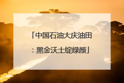 中国石油大庆油田：黑金沃土绽绿颜