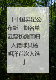 中国男足公布新一期名单武磊伤愈回归 入籍球员杨明洋首次入选
