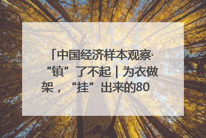 中国经济样本观察·“镇”了不起｜为衣做架，“挂”出来的80亿元“衣架产业”