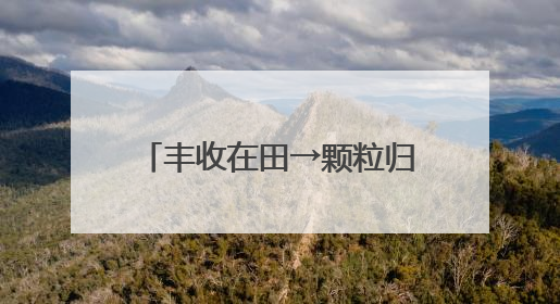 丰收在田→颗粒归仓 夏收小麦这些“助手”帮大忙
