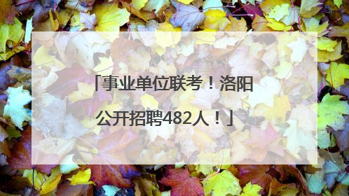 事业单位联考！洛阳公开招聘482人！