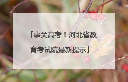 事关高考！河北省教育考试院最新提示