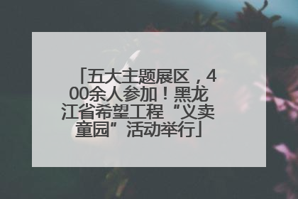 五大主题展区，400余人参加！黑龙江省希望工程“义卖童园”活动举行