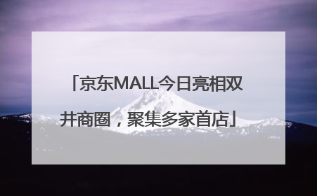 京东MALL今日亮相双井商圈，聚集多家首店