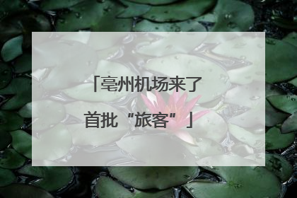 亳州机场来了首批“旅客”