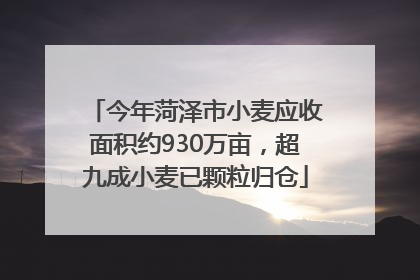 今年菏泽市小麦应收面积约930万亩，超九成小麦已颗粒归仓
