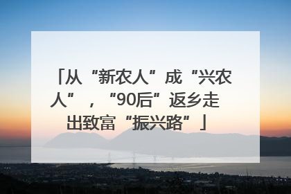 从“新农人”成“兴农人”，“90后”返乡走出致富“振兴路”