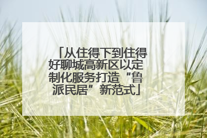 从住得下到住得好聊城高新区以定制化服务打造“鲁派民居”新范式