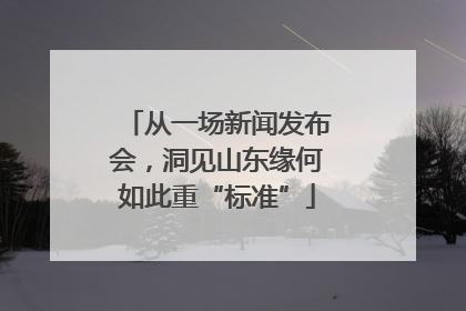 从一场新闻发布会，洞见山东缘何如此重“标准”