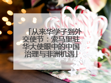 从来华学子到外交使节：索马里驻华大使眼中的中国治理与非洲机遇