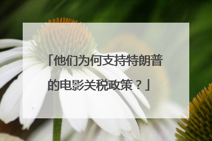 他们为何支持特朗普的电影关税政策？