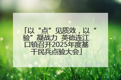 以“点”见质效，以“验”凝战力  英德连江口镇召开2025年度基干民兵点验大会