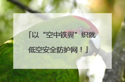 以“空中铁翼”织就低空安全防护网！