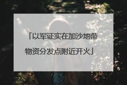 以军证实在加沙地带物资分发点附近开火