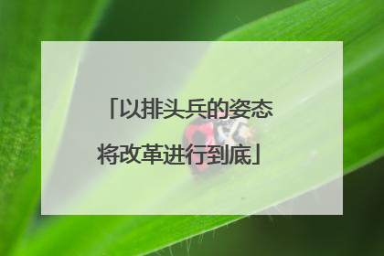 以排头兵的姿态将改革进行到底