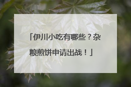 伊川小吃有哪些？杂粮煎饼申请出战！