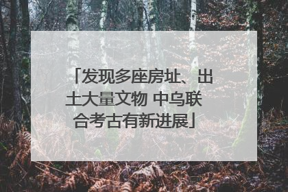 发现多座房址、出土大量文物 中乌联合考古有新进展