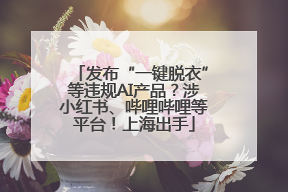 发布“一键脱衣”等违规AI产品？涉小红书、哔哩哔哩等平台！上海出手