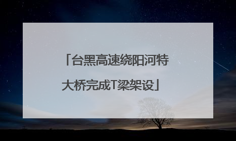 台黑高速绕阳河特大桥完成T梁架设