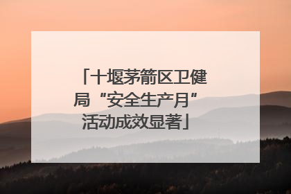 十堰茅箭区卫健局“安全生产月”活动成效显著