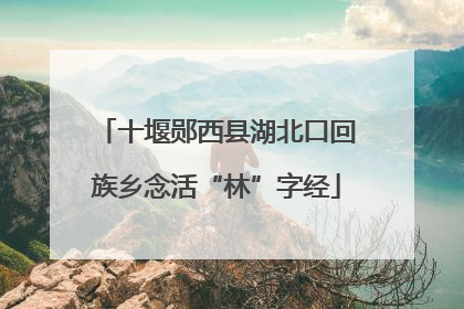 十堰郧西县湖北口回族乡念活“林”字经