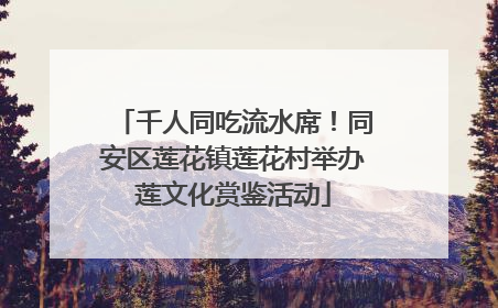 千人同吃流水席！同安区莲花镇莲花村举办莲文化赏鉴活动
