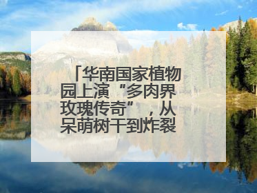华南国家植物园上演“多肉界玫瑰传奇”，从呆萌树干到炸裂种子全是戏！