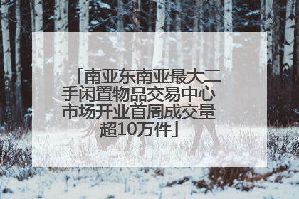 南亚东南亚最大二手闲置物品交易中心市场开业首周成交量超10万件