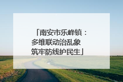 南安市乐峰镇：多维联动治乱象 筑牢防线护民生