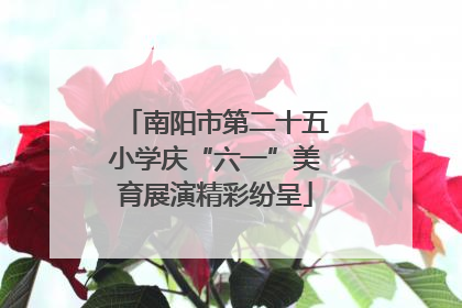 南阳市第二十五小学庆“六一”美育展演精彩纷呈