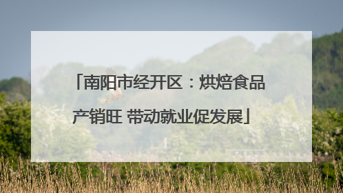 南阳市经开区：烘焙食品产销旺 带动就业促发展