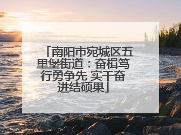 南阳市宛城区五里堡街道：奋楫笃行勇争先 实干奋进结硕果