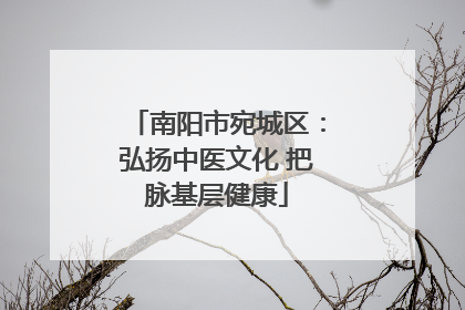 南阳市宛城区：弘扬中医文化 把脉基层健康